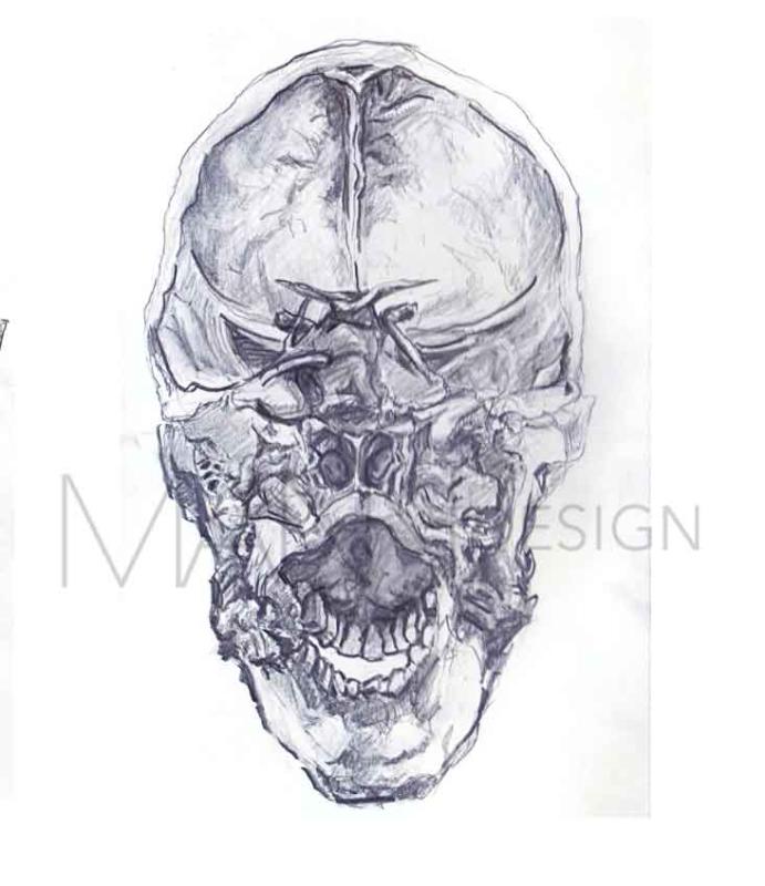 Interior view of front of cranium